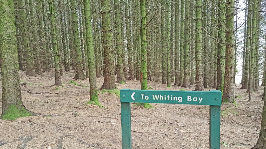 Viewbank Guest House Whiting Bay Esterno foto